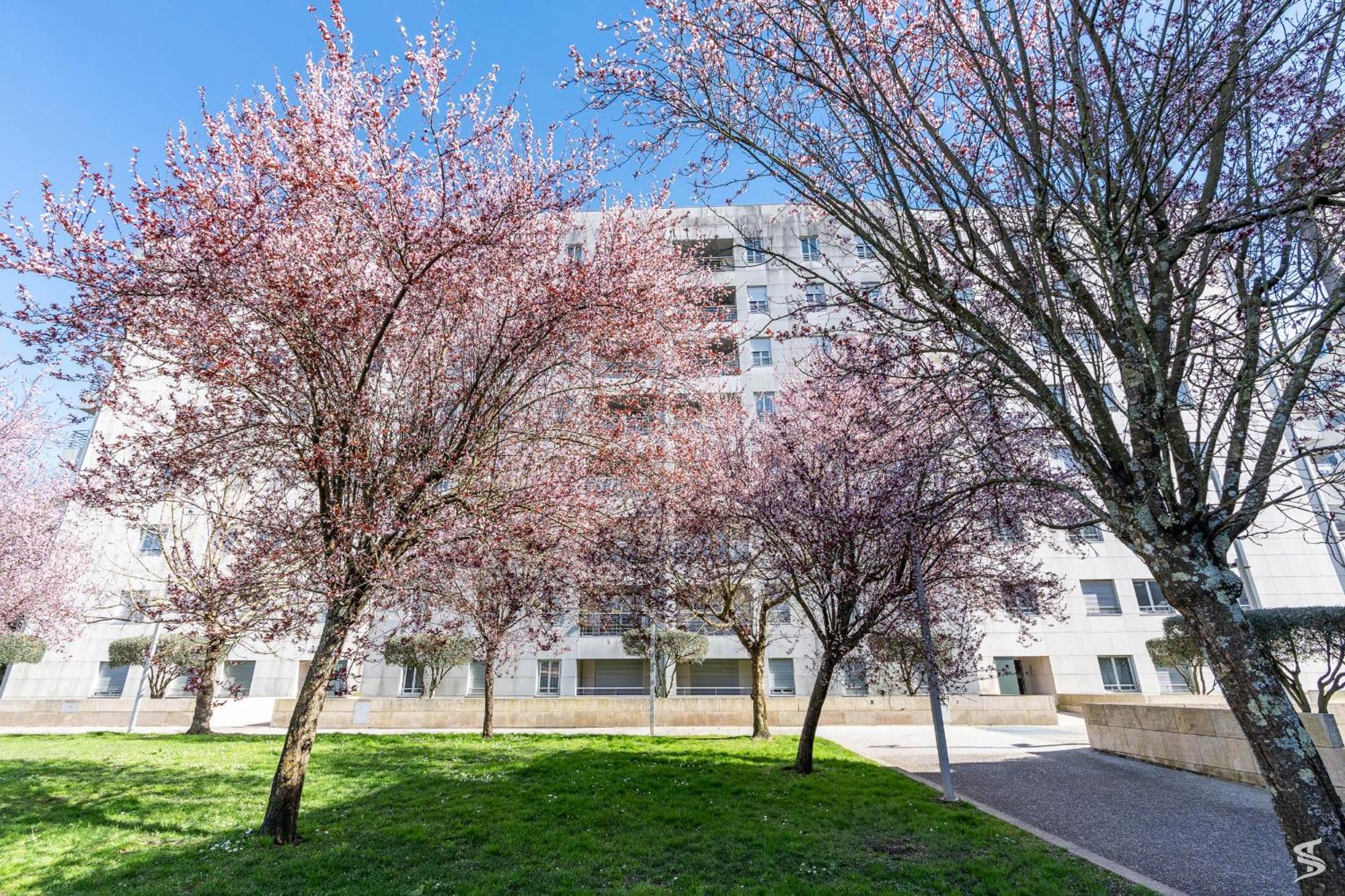 Cedofeita Sunny Apartment - Balcony & Parking Porto Exterior foto